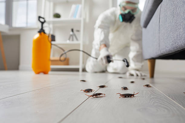 Trusted Cockroach Control service in Owingsville, KY - Nex Pest Control