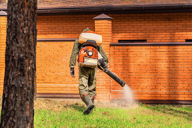 Trusted Bed Bug Control service in Owingsville, KY - Nex Pest Control